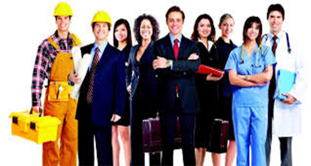 Türkiye Meslek Grupları Firma Datası